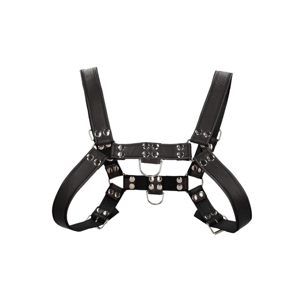 ARNÊS LEATHER BULLDOG HARNESS L/XL PRETO OUCH! - Image 4